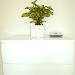 & Near Zoologischer Garten ホステル